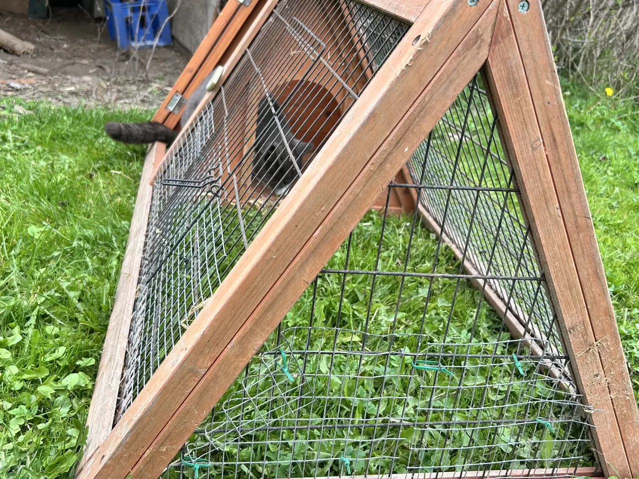 Billede 2 - Udendørs gnaverbur