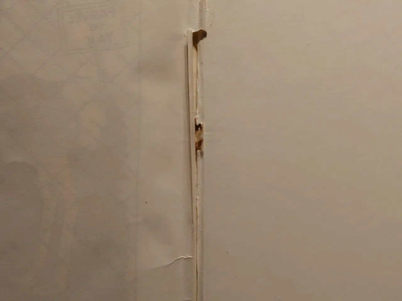 Billede 7 - Jørgen Clevin: Rasmus får Besøg. 1.udg.1948.