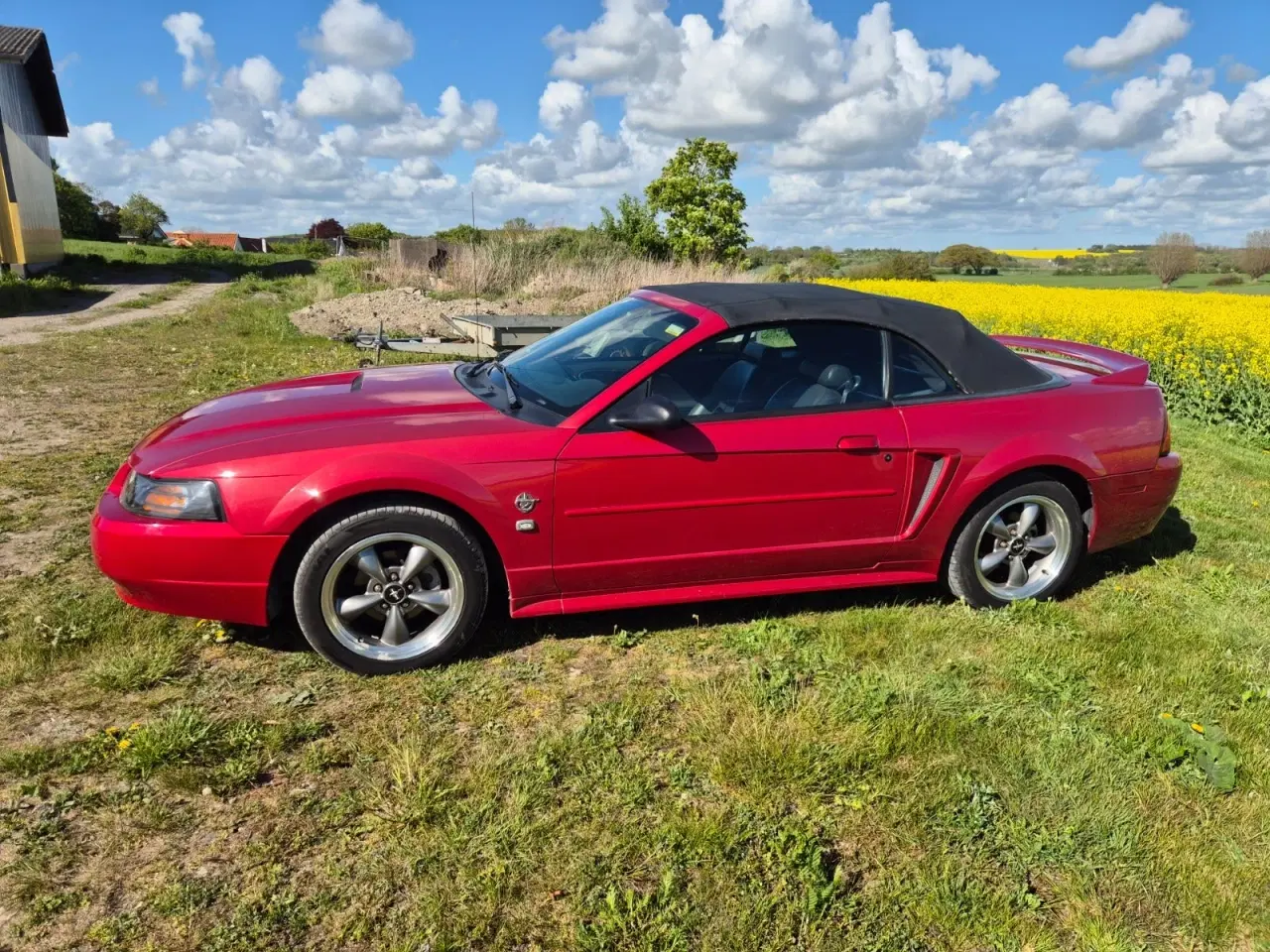 Billede 6 - Ford Mustang 4,6 Cobra SVT Cabriolet