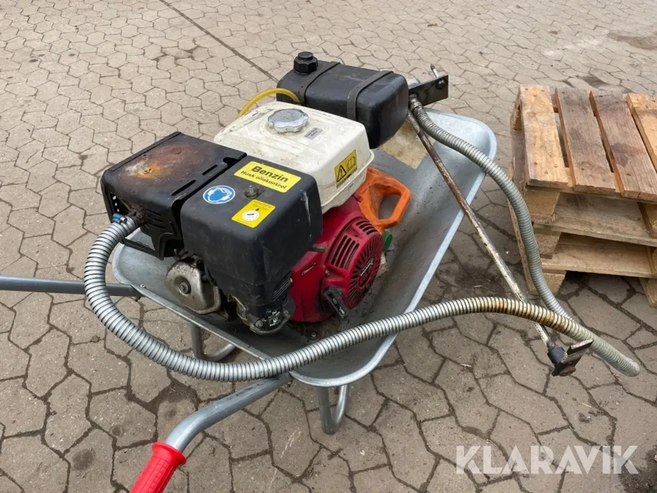 Billede 4 - Muldvarpe gasser