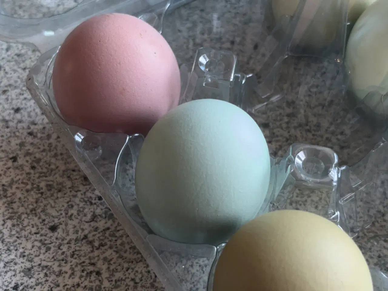 Billede 1 - Rugeæg i regnbuens farver