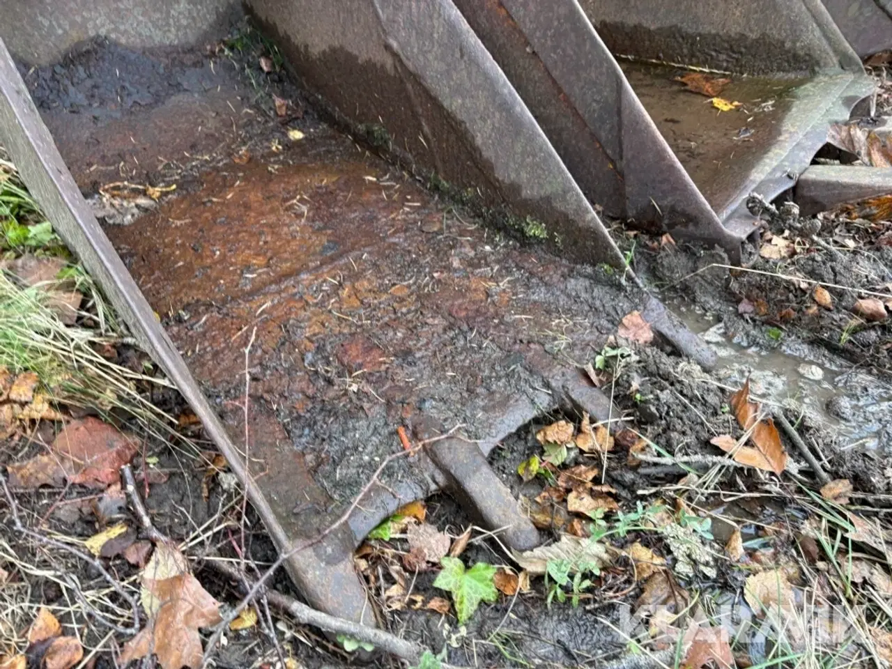 Billede 3 - Graveskovle 3 styk