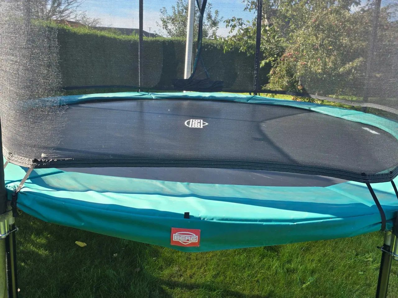 Billede 3 - Berg Champion trampolin