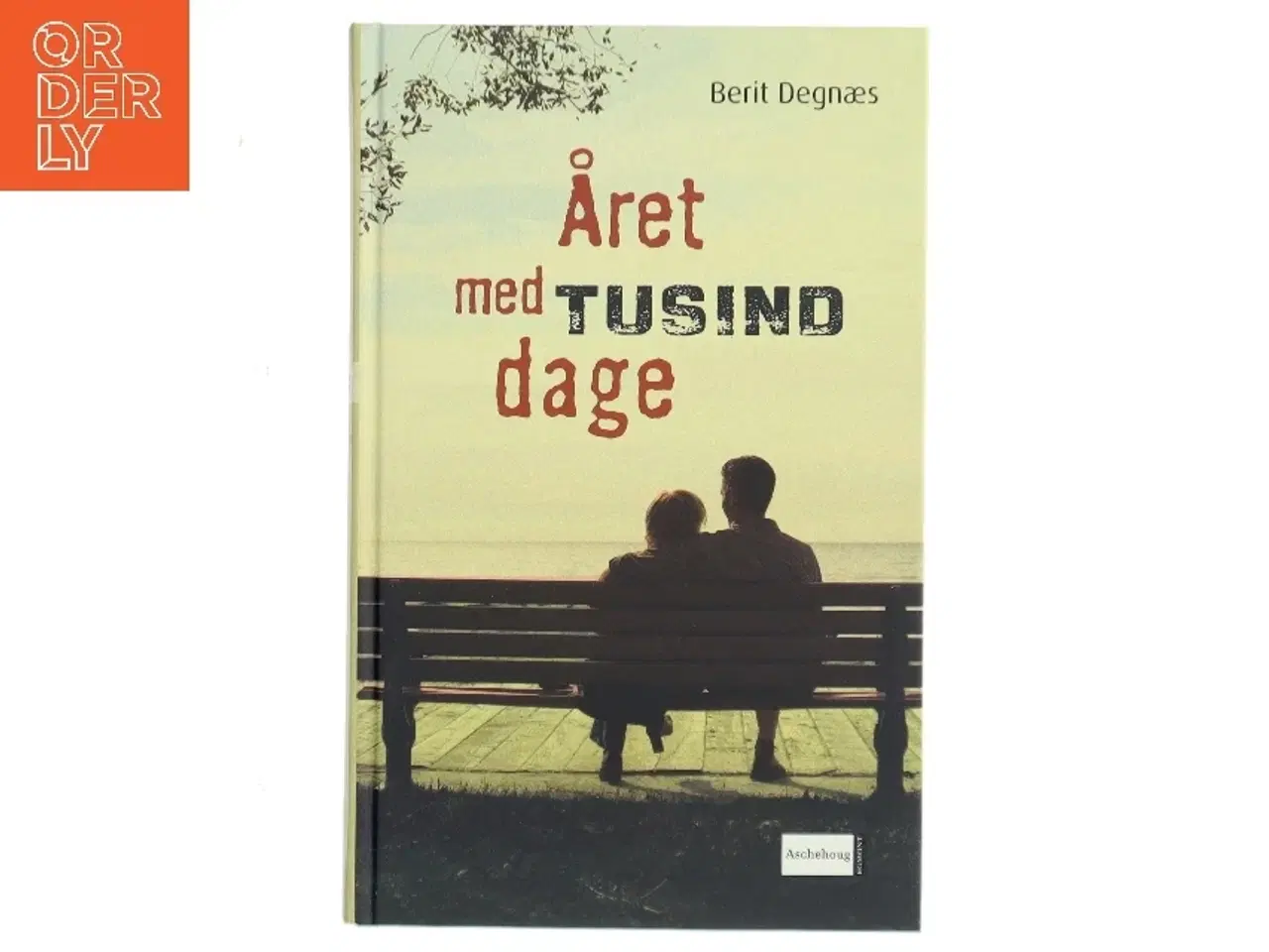 Billede 1 - Året med tusind dage af Berit Degnæs (Bog)