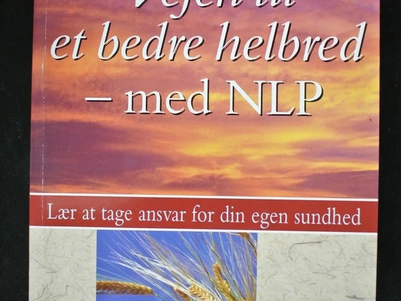 Billede 1 - vejen til et bedre helbred - med nlp, af ian mcder
