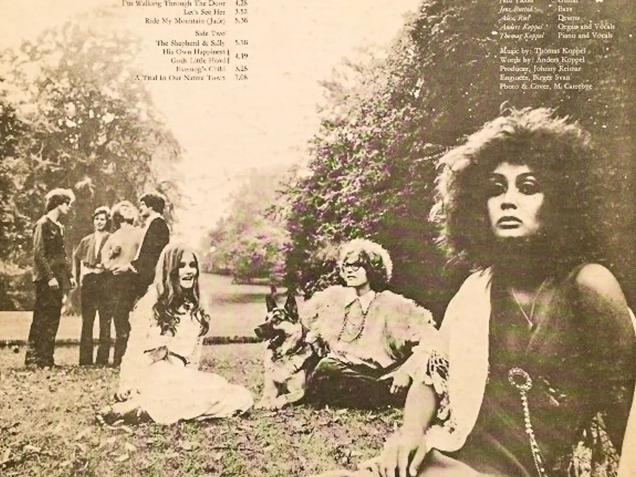 Billede 2 - Savage Rose in the Plain vinyl