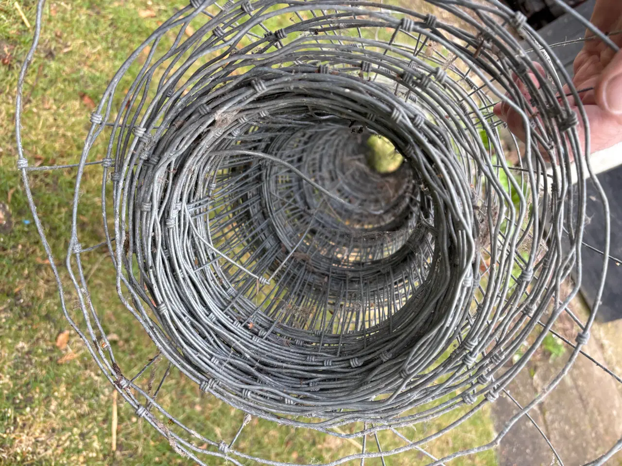 Billede 1 - Dyrehegn