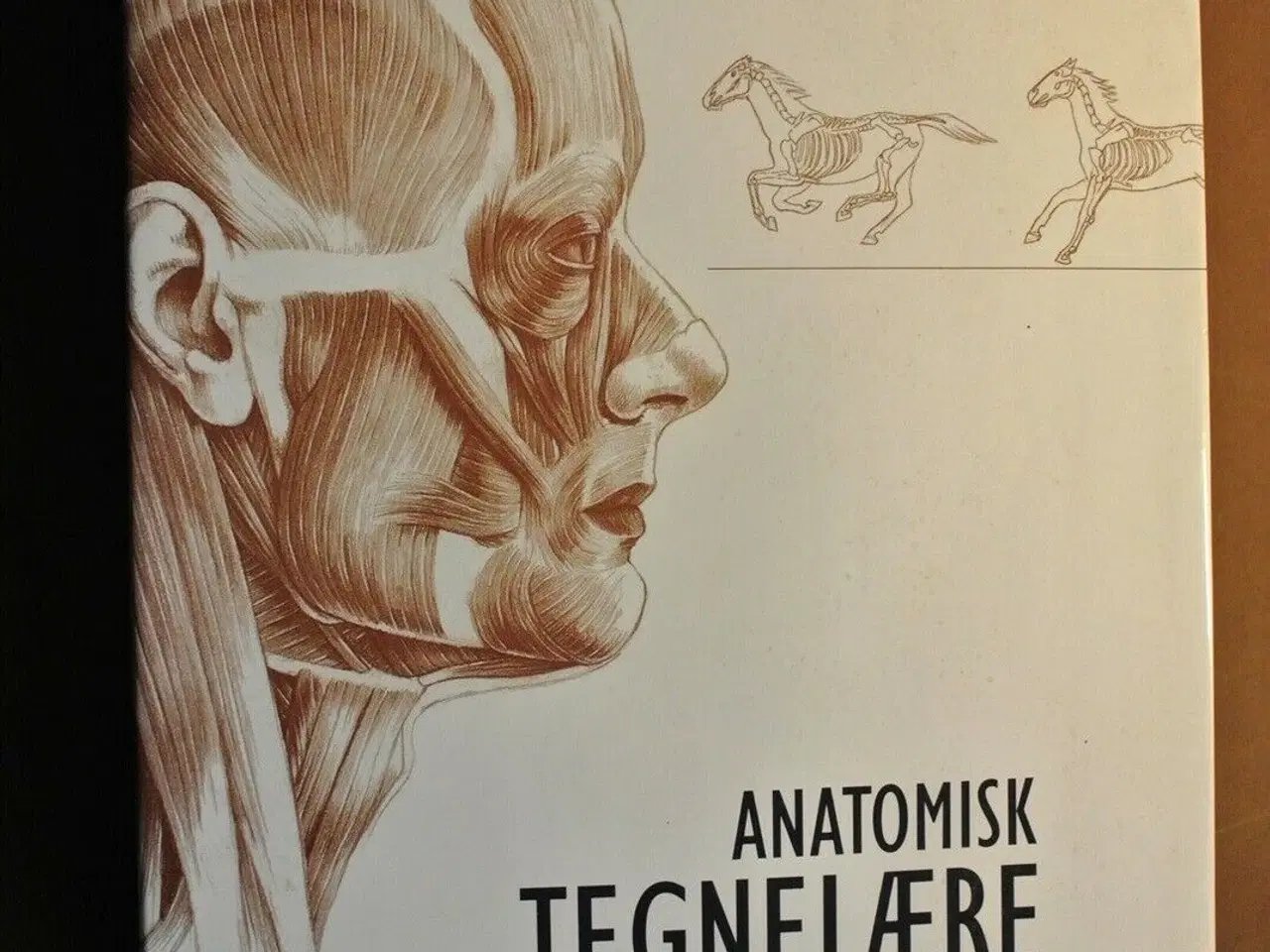 Billede 1 - anatomisk tegnelære - menneske og dyr - sammenlign