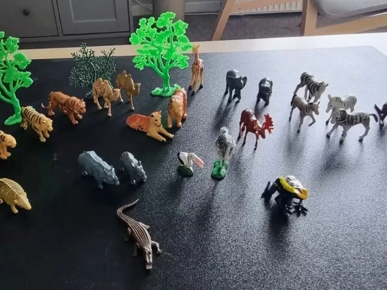 Billede 4 - Vintage dyr Zoologisk Have