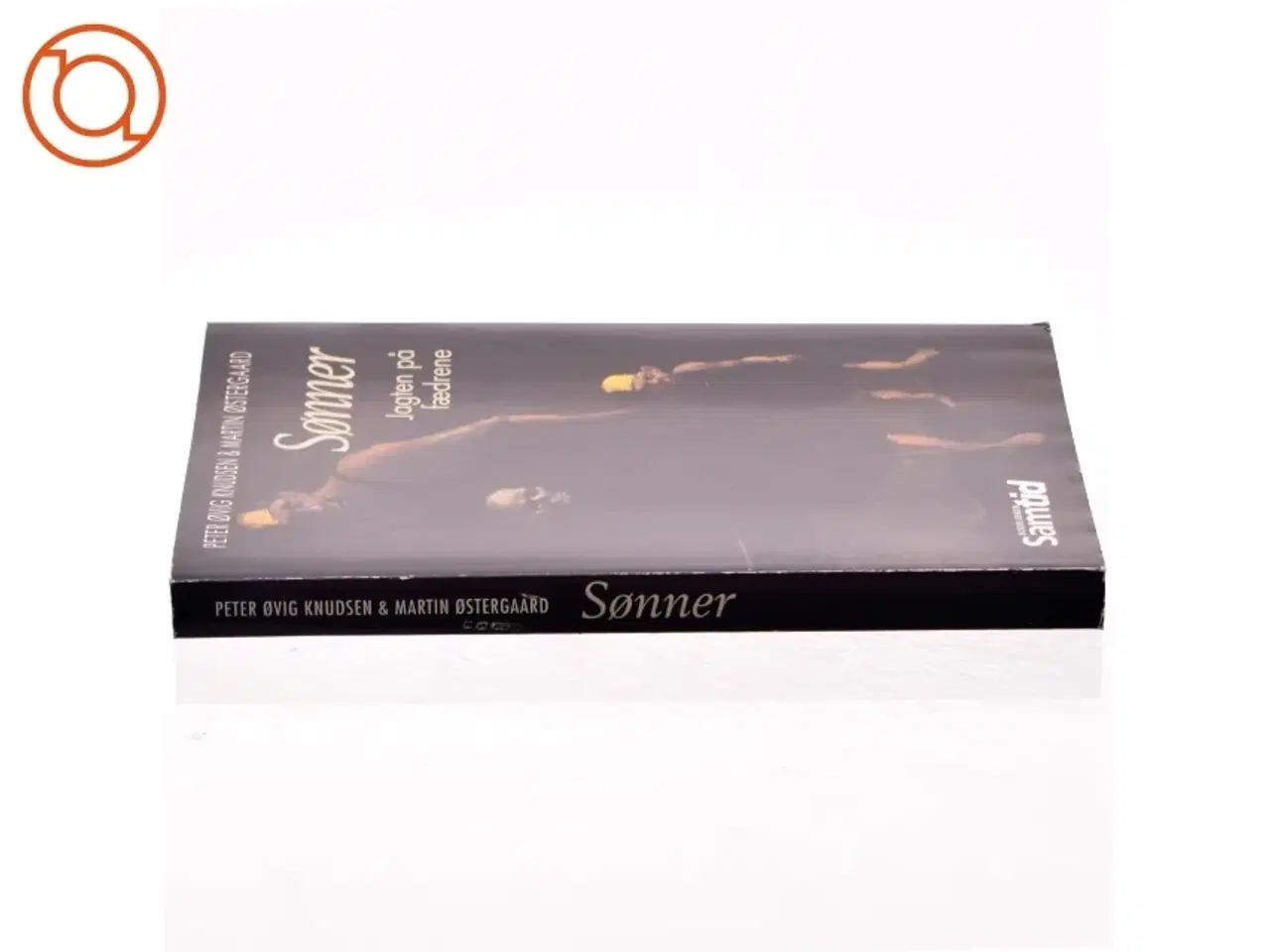 Billede 2 - Sønner - Jagten på fædrene Af Peter Øvig & Martin Østergaard Knudsen