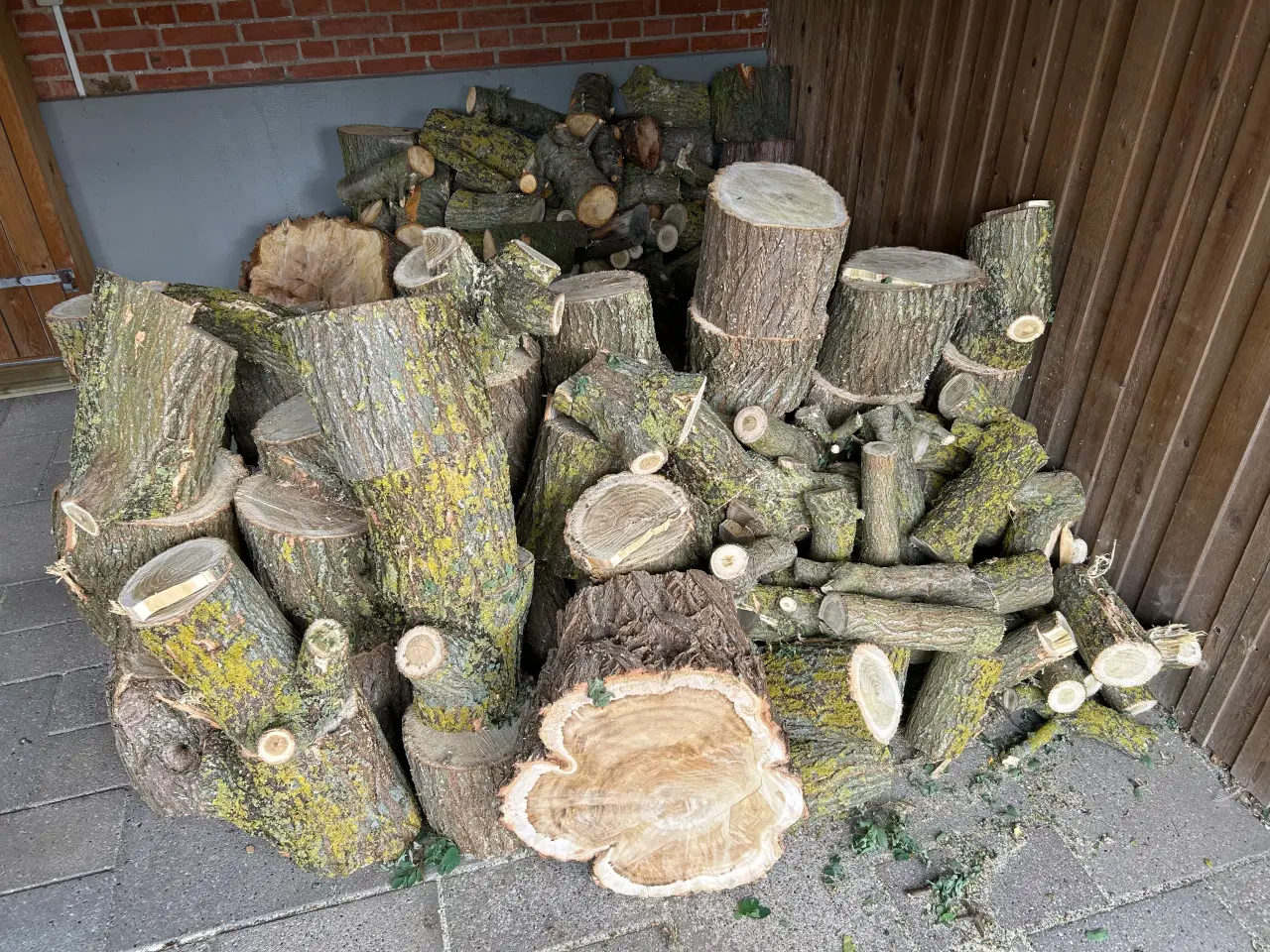 Billede 3 - Brænde til vinteren