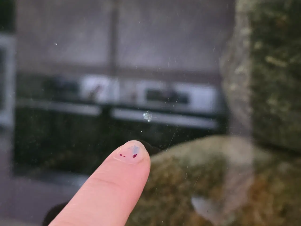 Billede 5 - HvidJUWEL 300 akvarie plug&play & 3D baggrund