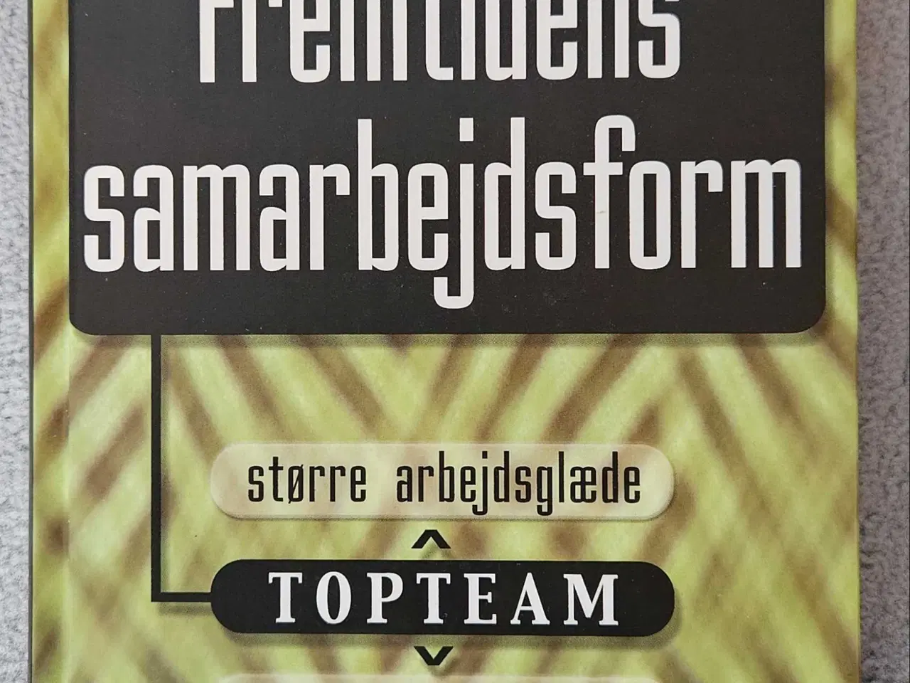 Billede 1 - Fremtidens samarbejdesform 