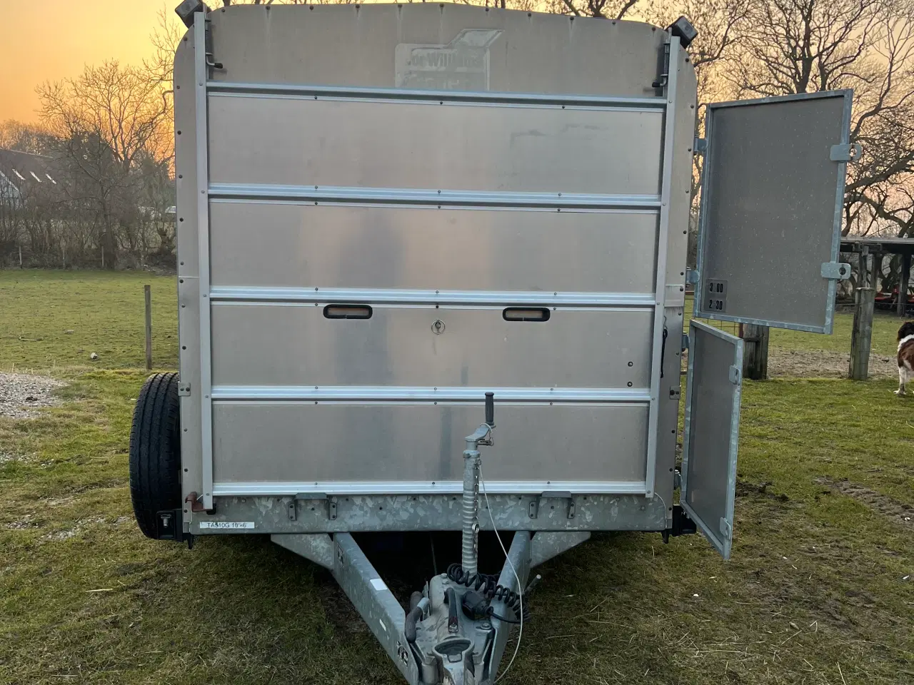 Billede 8 - Ifor Williams Trailer til gods-/husdyrtransport