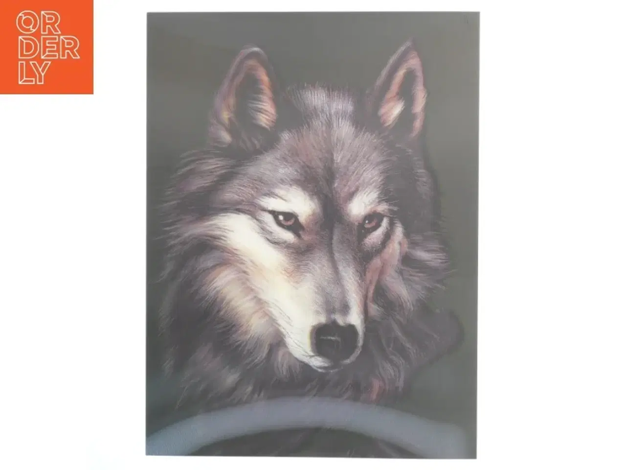 Billede 1 - Billede af ulv (str. 40x30 cm)