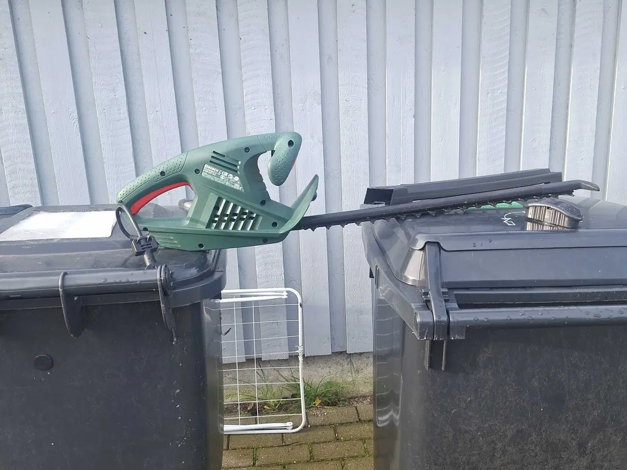 Billede 4 - Hækkekip 