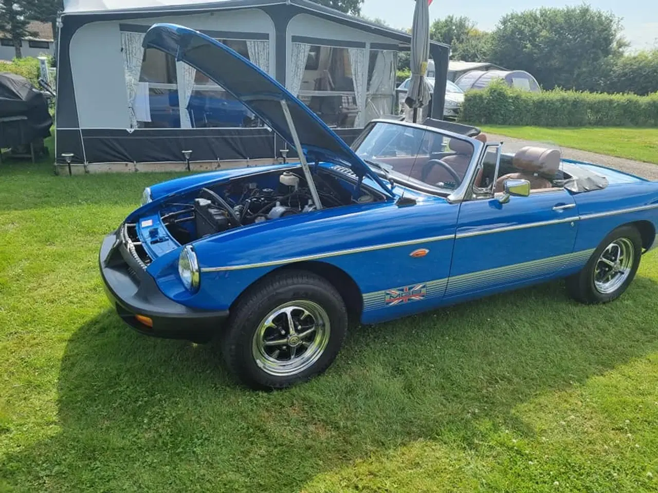 Billede 8 - mgb rooster