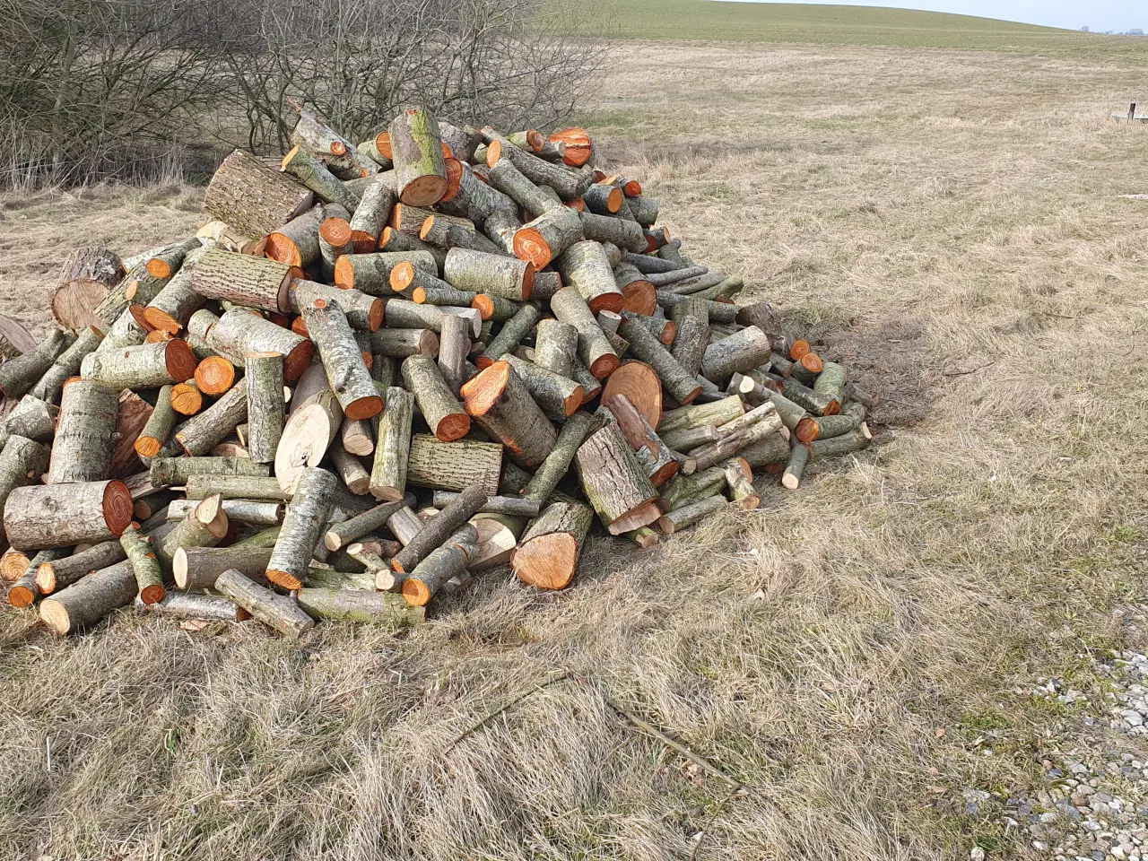 Billede 1 - Friskskovet Brænde