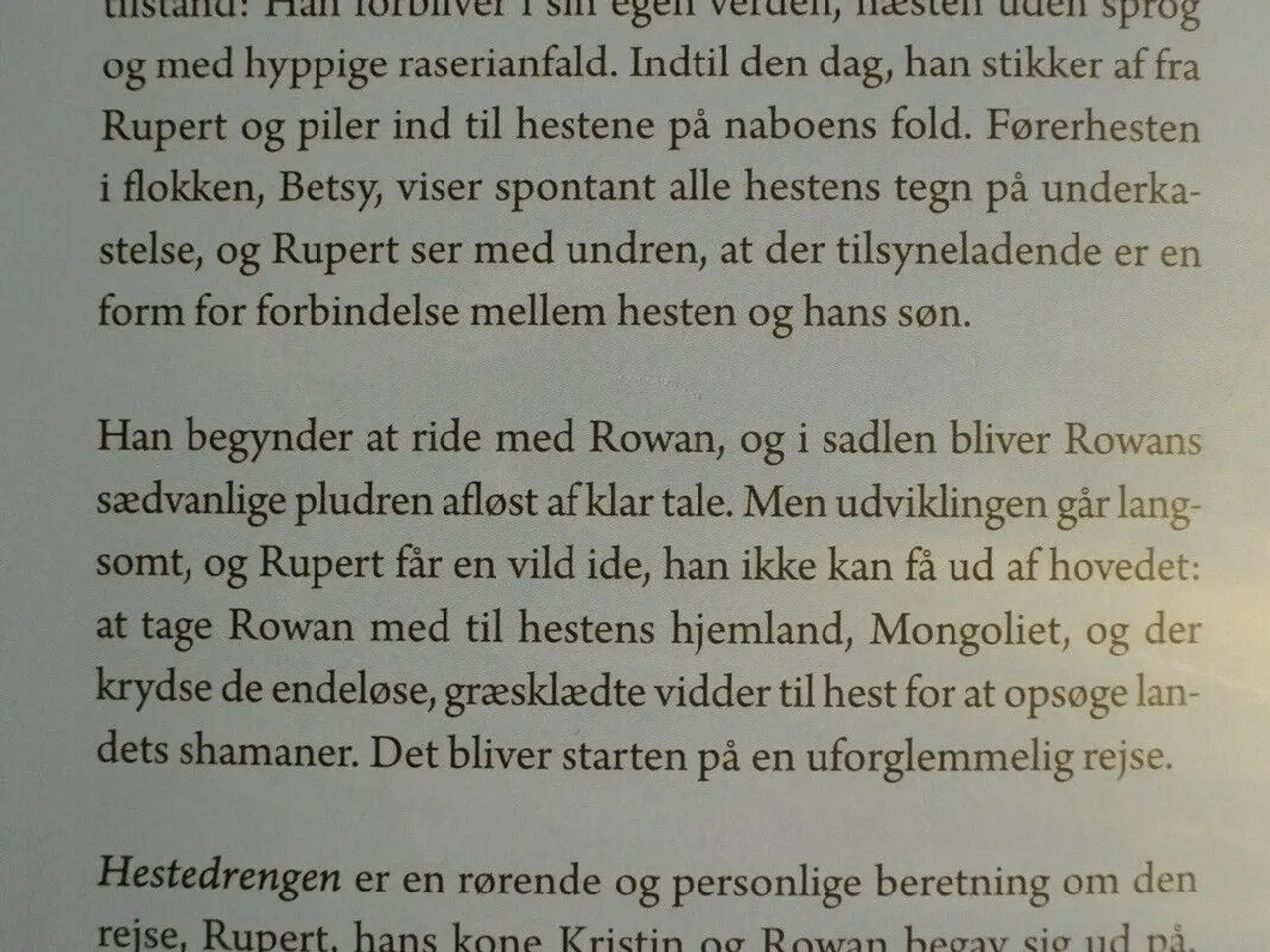 Billede 2 - hestedrengen - en fars kamp for sin autistiske søn
