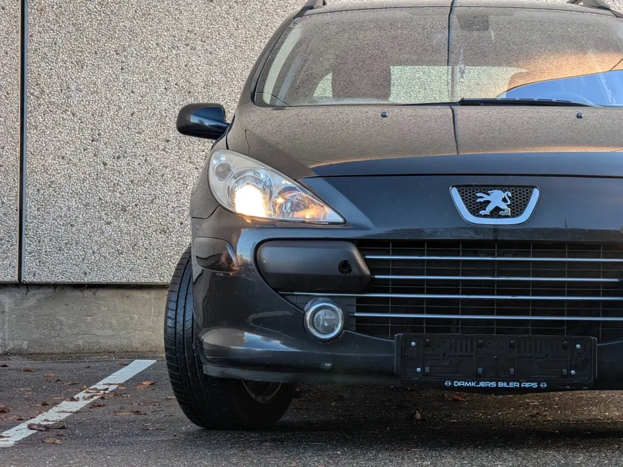 Billede 3 - Peugeot 307 1,6 Complete SW