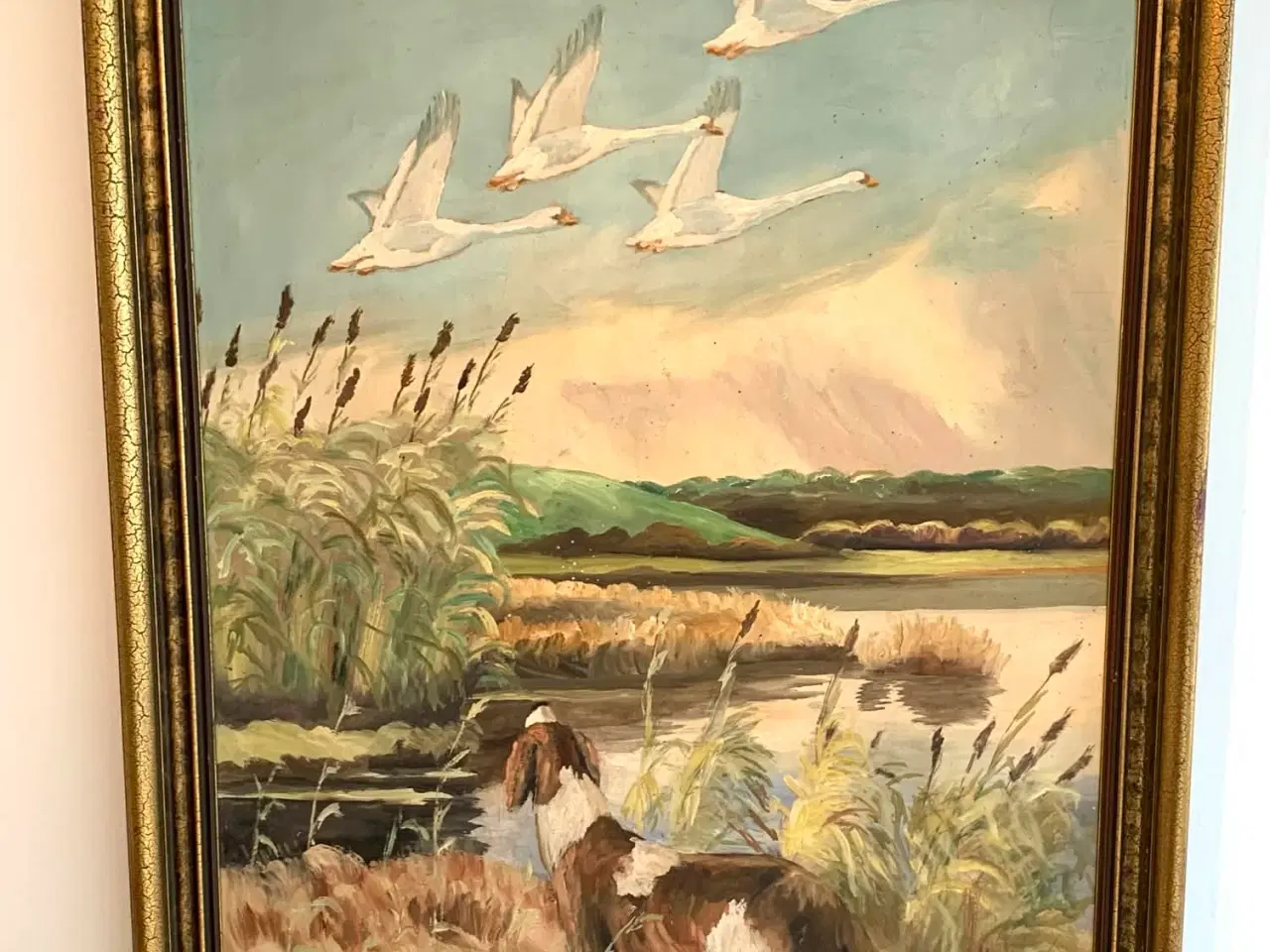 Billede 1 - Oliemaleri jagthund ved sø med svaner