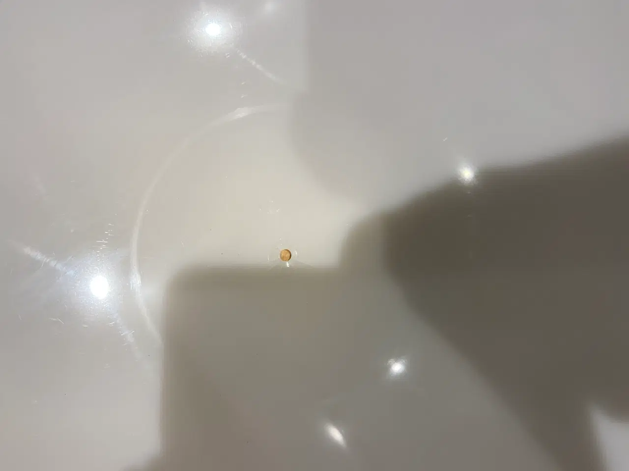 Billede 6 - Pantella Lsmpe