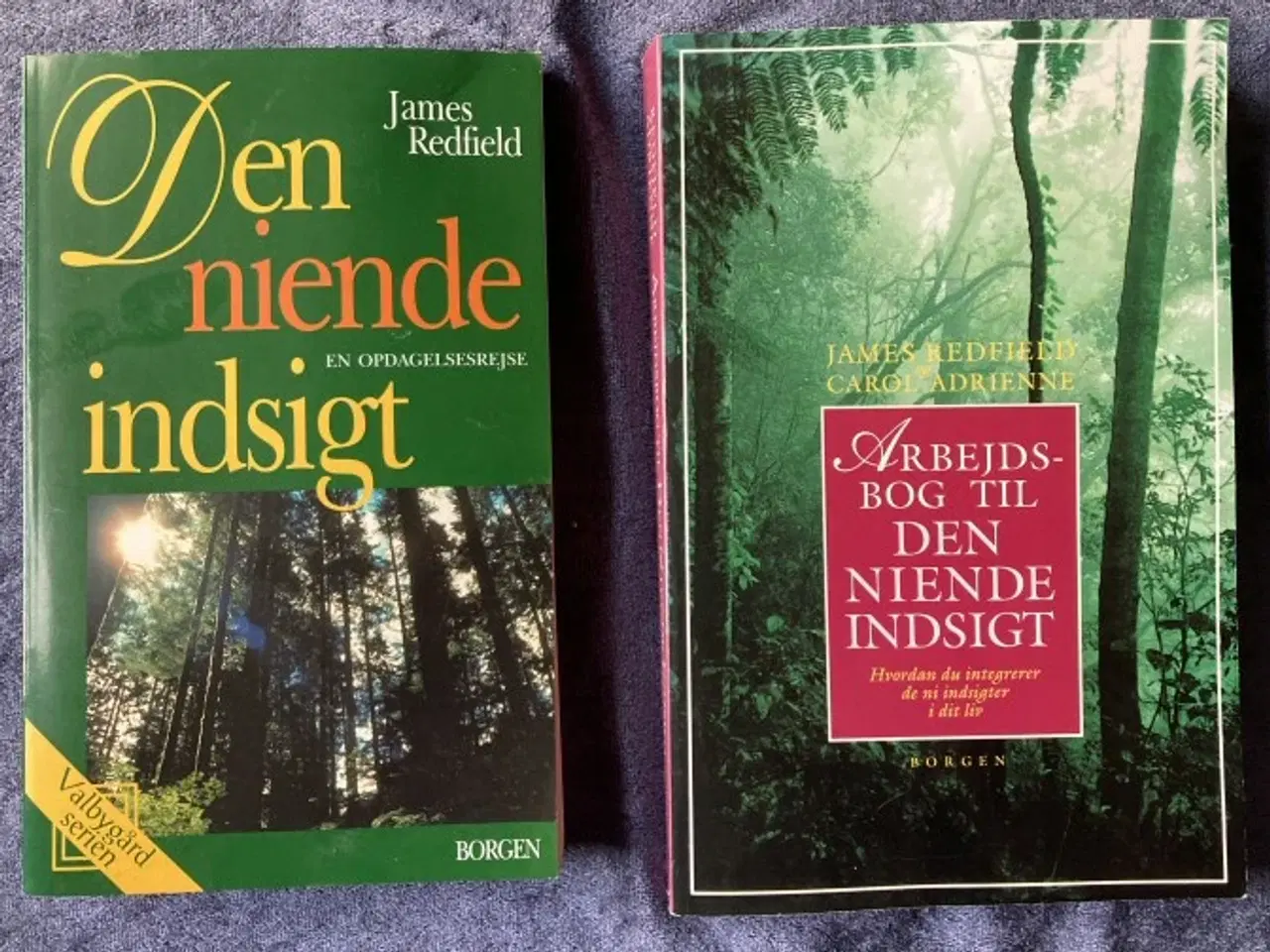 Billede 1 - Den niende indsigt – 2 bøger