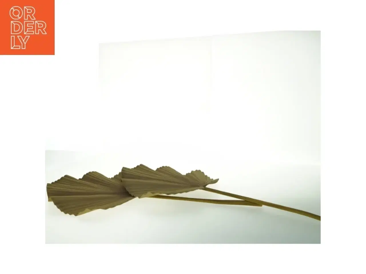 Billede 2 - Tørrede palmeblade (str. Længde. 63 cm bredde. 34 cm)