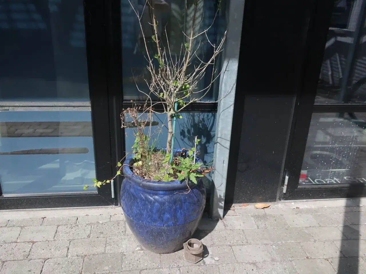 Billede 1 - Diverse krukker