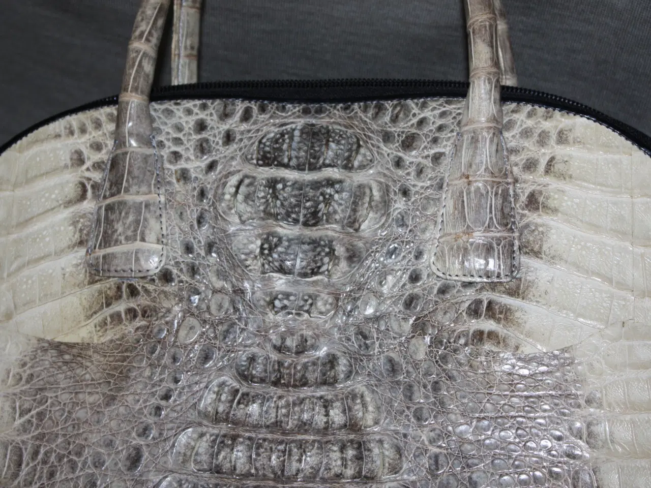 Billede 2 - River Genuine Crocodile Skin / krokodilleskind