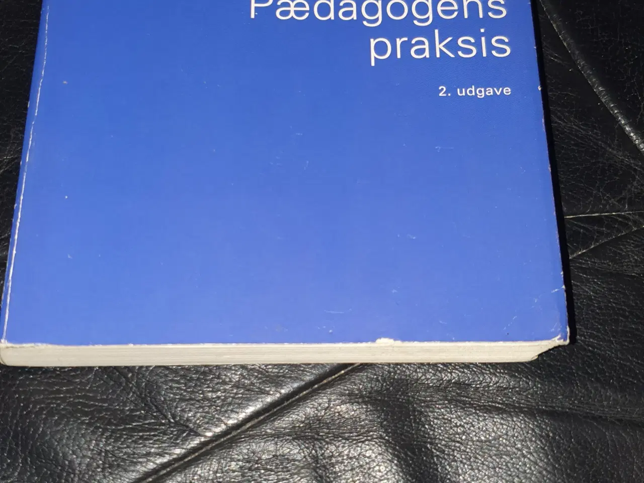 Billede 1 - Pædagogens praksis  2  udgave