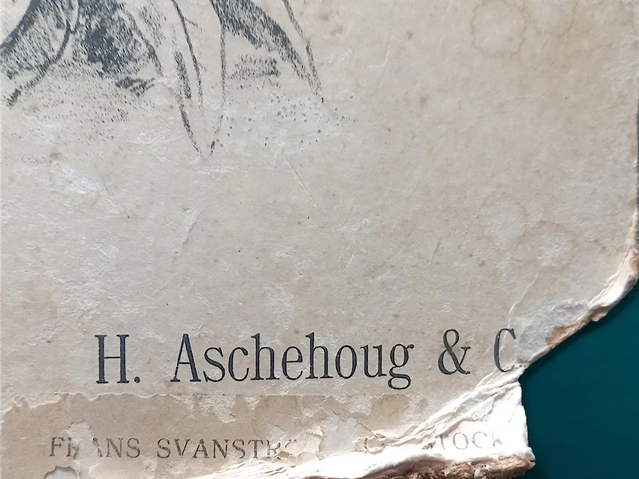 Billede 2 - Antik skoleplanche padder Dybdahl Pl.45