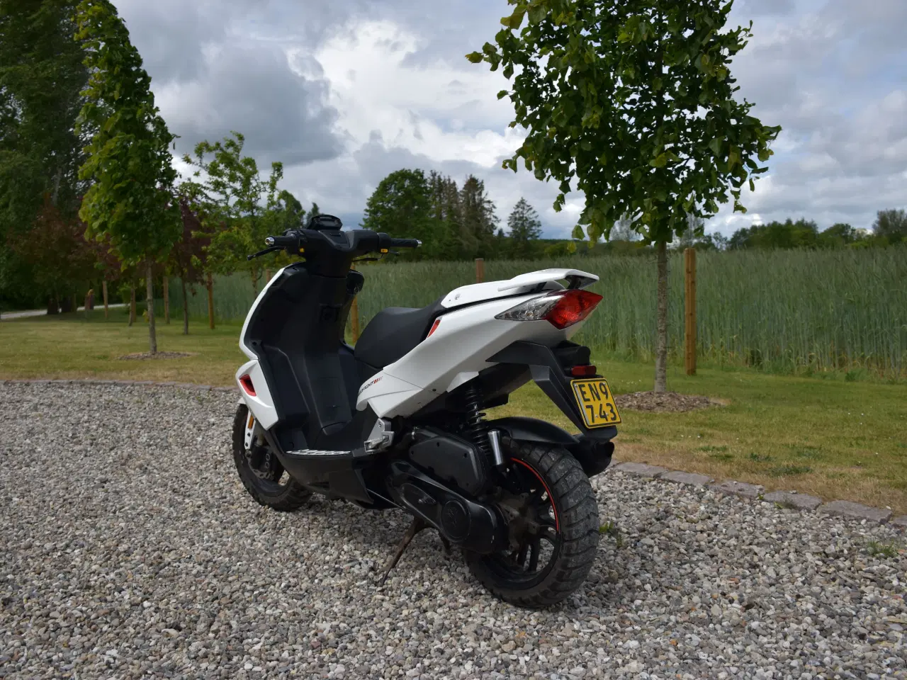 Billede 3 - PEUGEOT SPEEDFIGHT 3