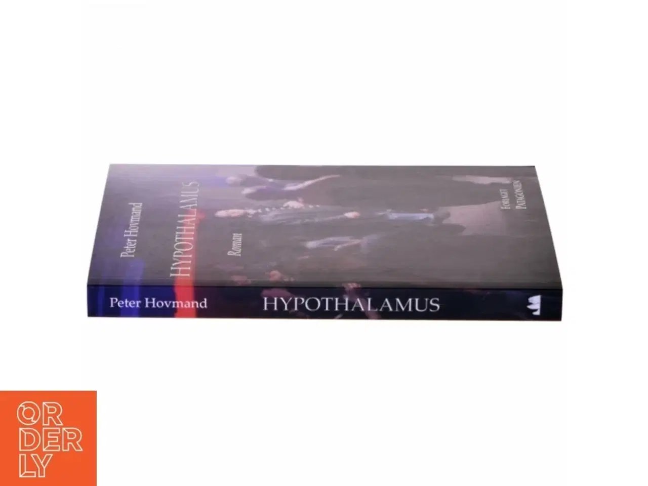 Billede 2 - Hypothalamus : roman af Peter Hovmand (Bog)