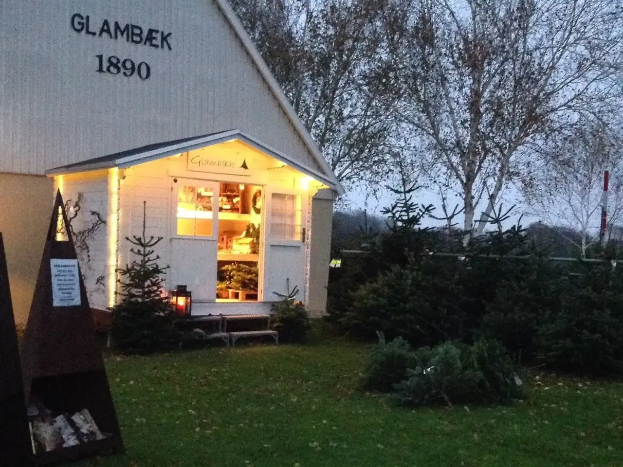 Billede 1 - Juletræ, Fæld selv, Østfyn