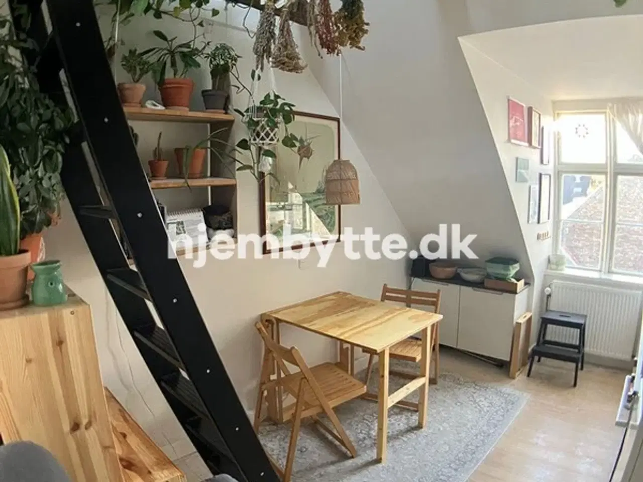 Billede 2 - Hjembytte - SanktHansGade