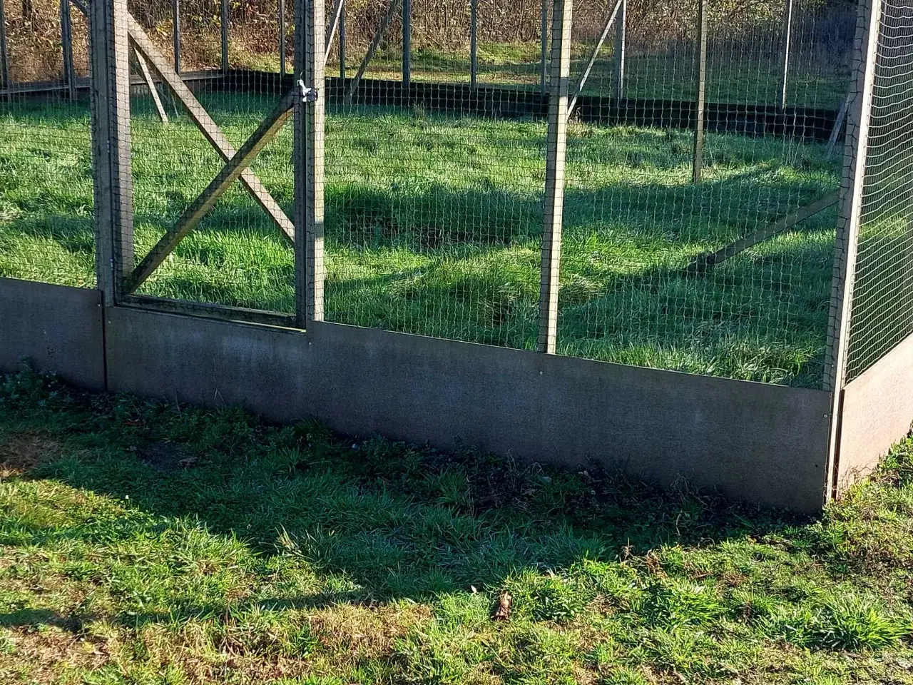 Billede 2 - Voliere sælges