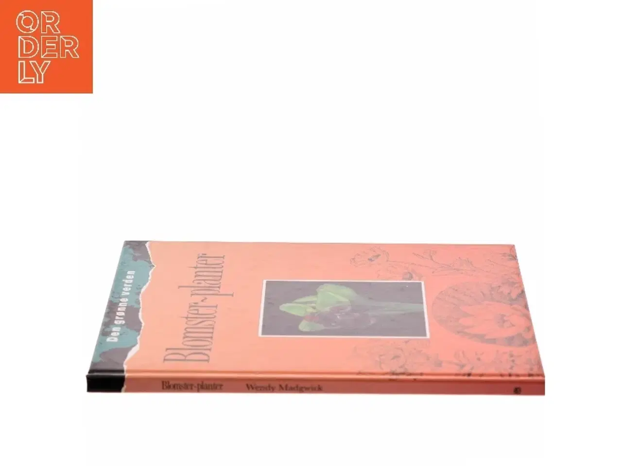 Billede 2 - Blomster-planter af Wendy Madgwick (Bog)