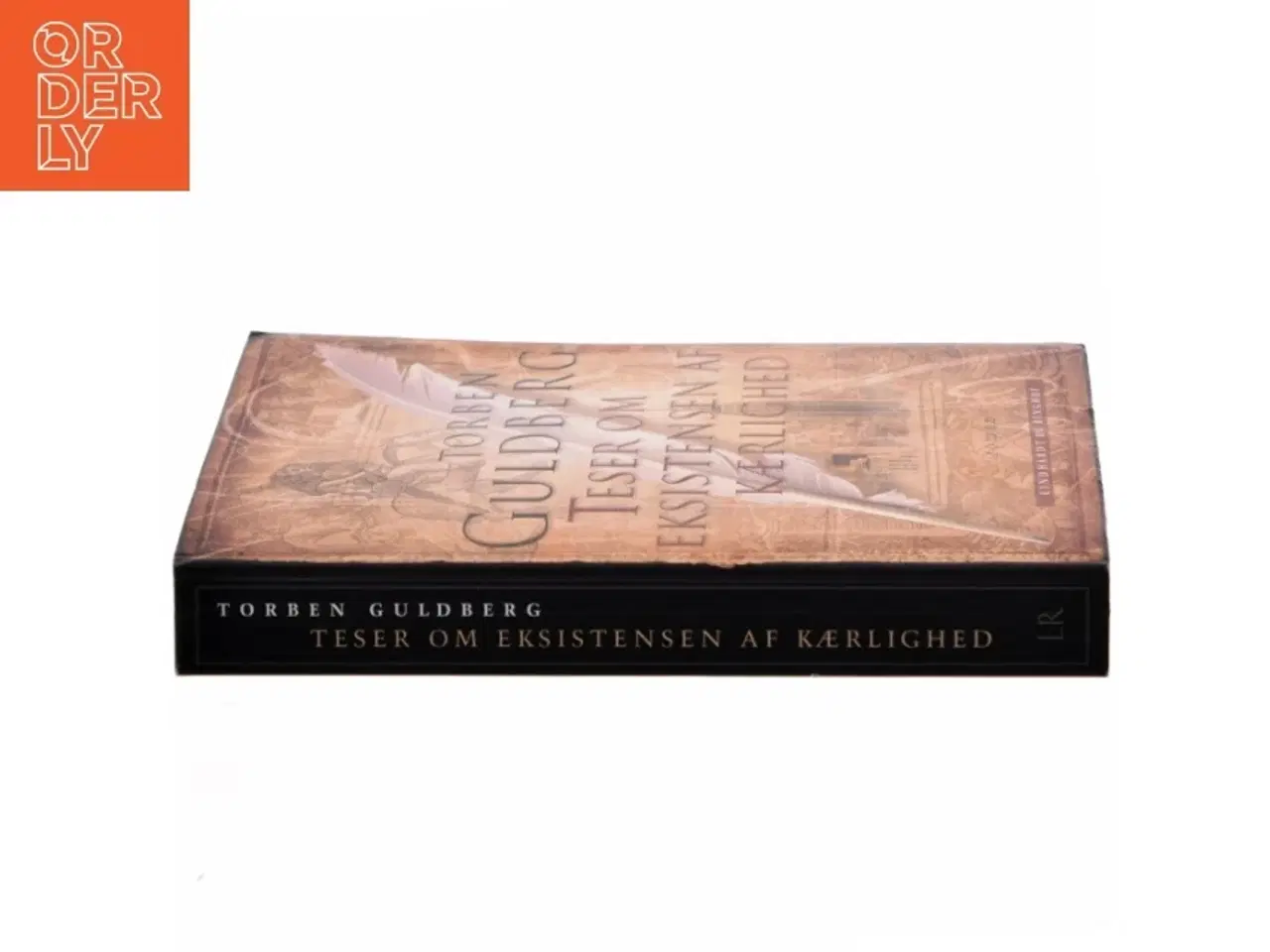 Billede 2 - Teser om eksistensen af kærlighed : roman af Torben Guldberg (Bog)