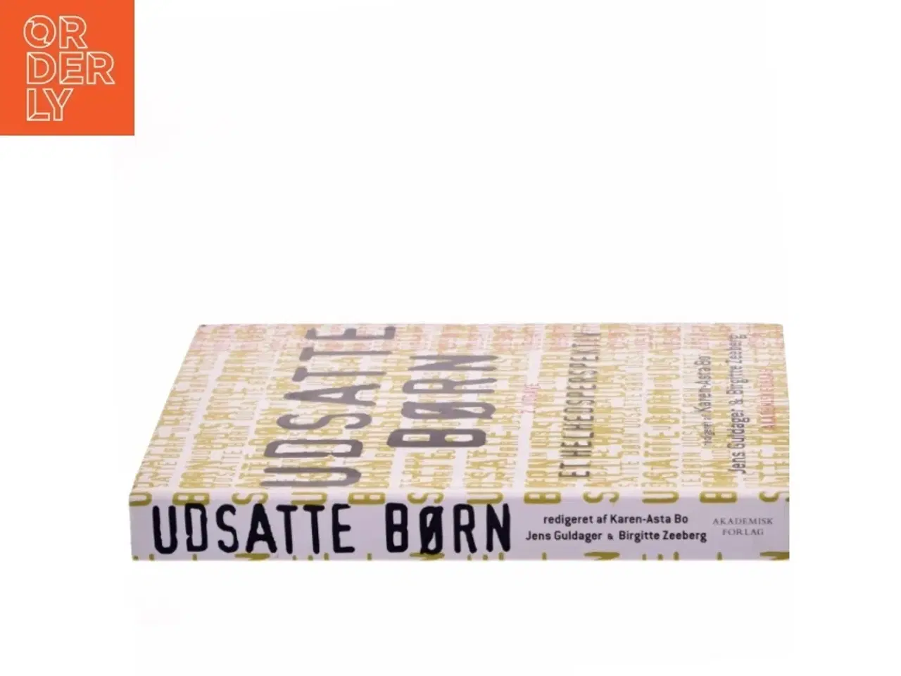 Billede 2 - Udsatte børn : et helhedsperspektiv (Bog)
