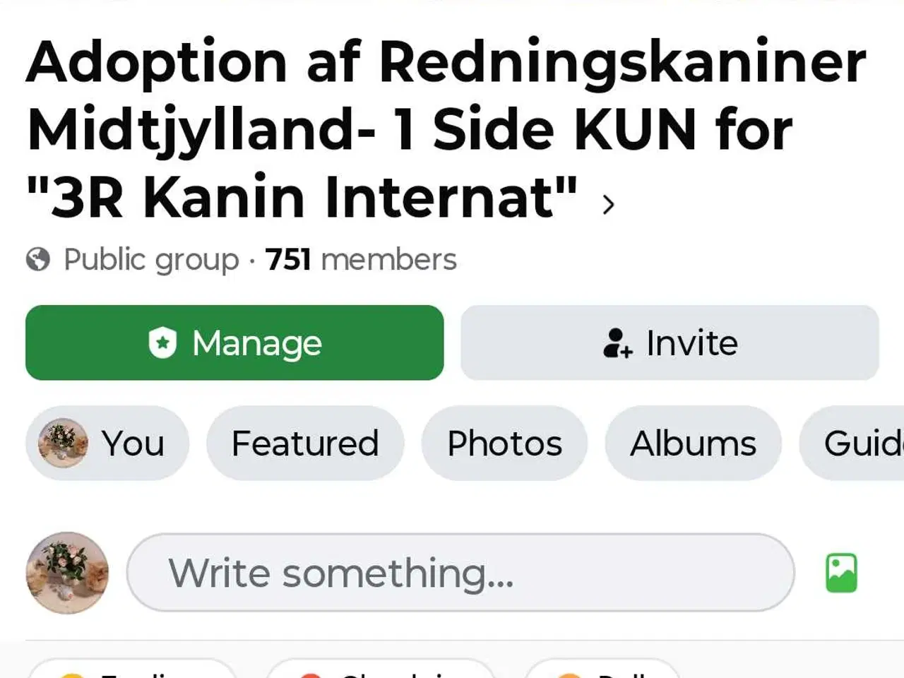 Billede 10 - Han kanin dreng