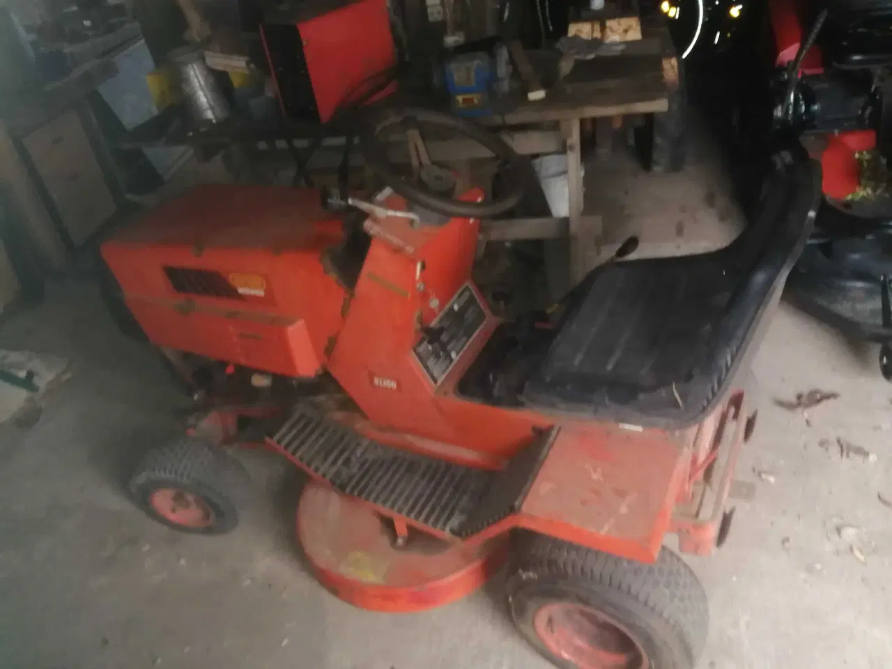 Billede 1 - Westwood Ginge. 