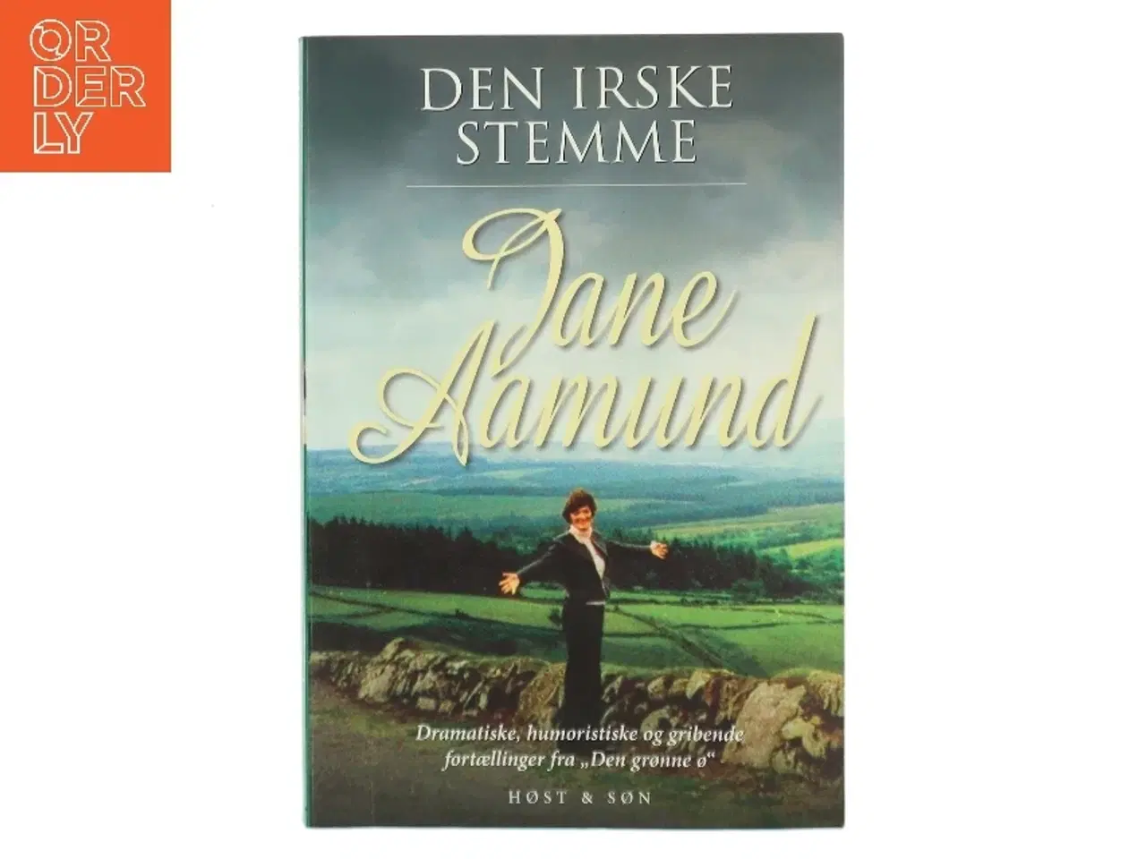 Billede 1 - Den irske stemme : fortællinger af Jane Aamund (Bog)