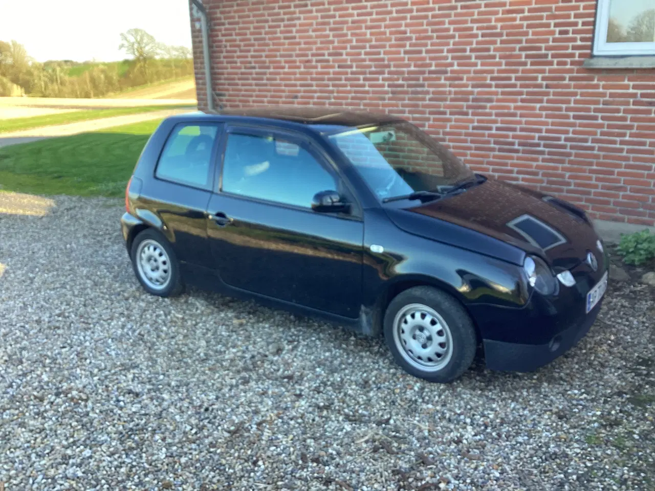 Billede 2 - Lupo med servo 