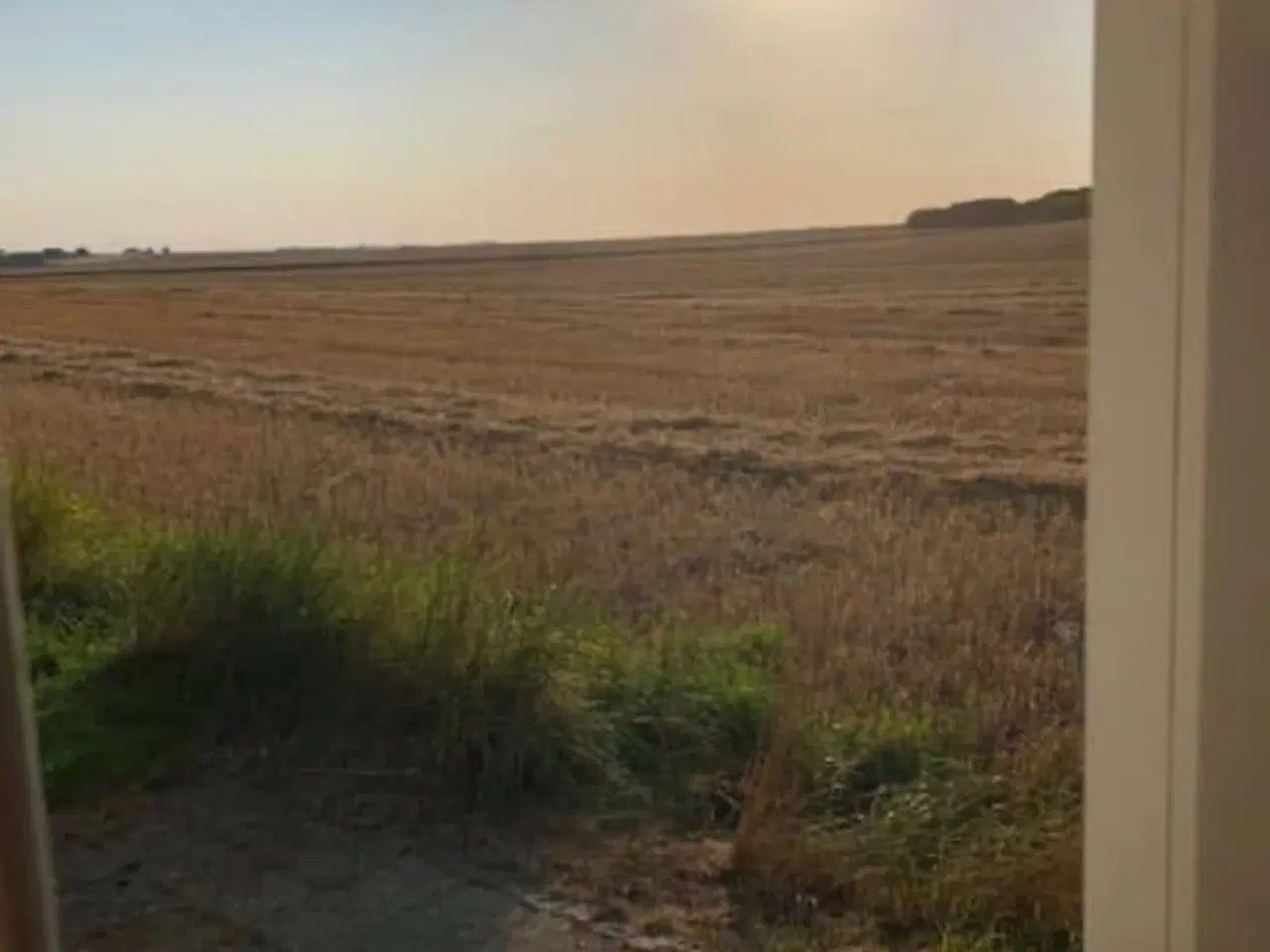 Billede 3 - Kolonihave til salg, Randers NV - Bjergbyparken