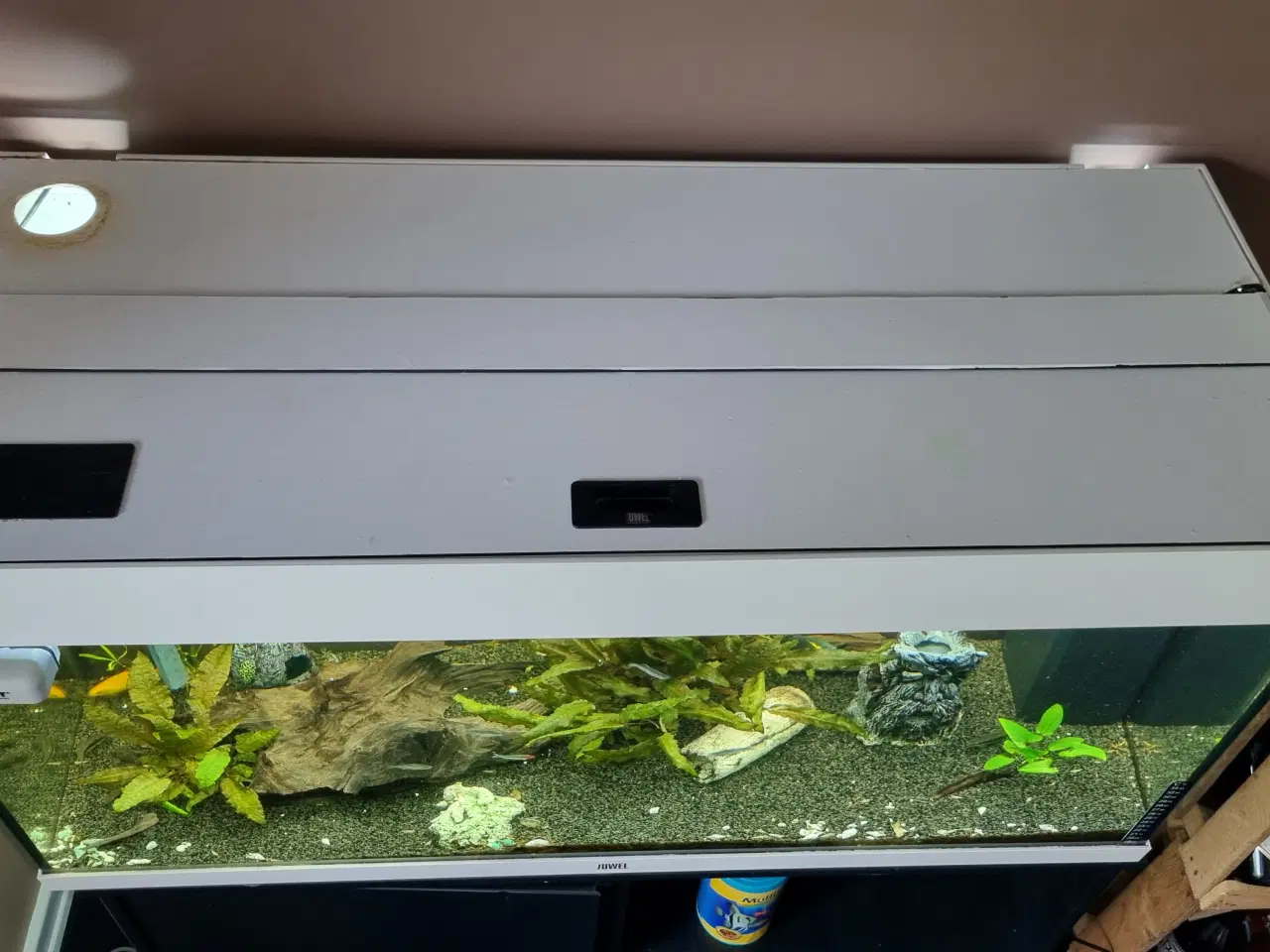 Billede 4 - Juwel akvarie, med underskab, 160L