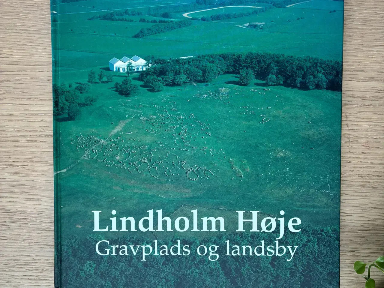 Billede 1 - Lindholm Høje - Gravplads og landsby