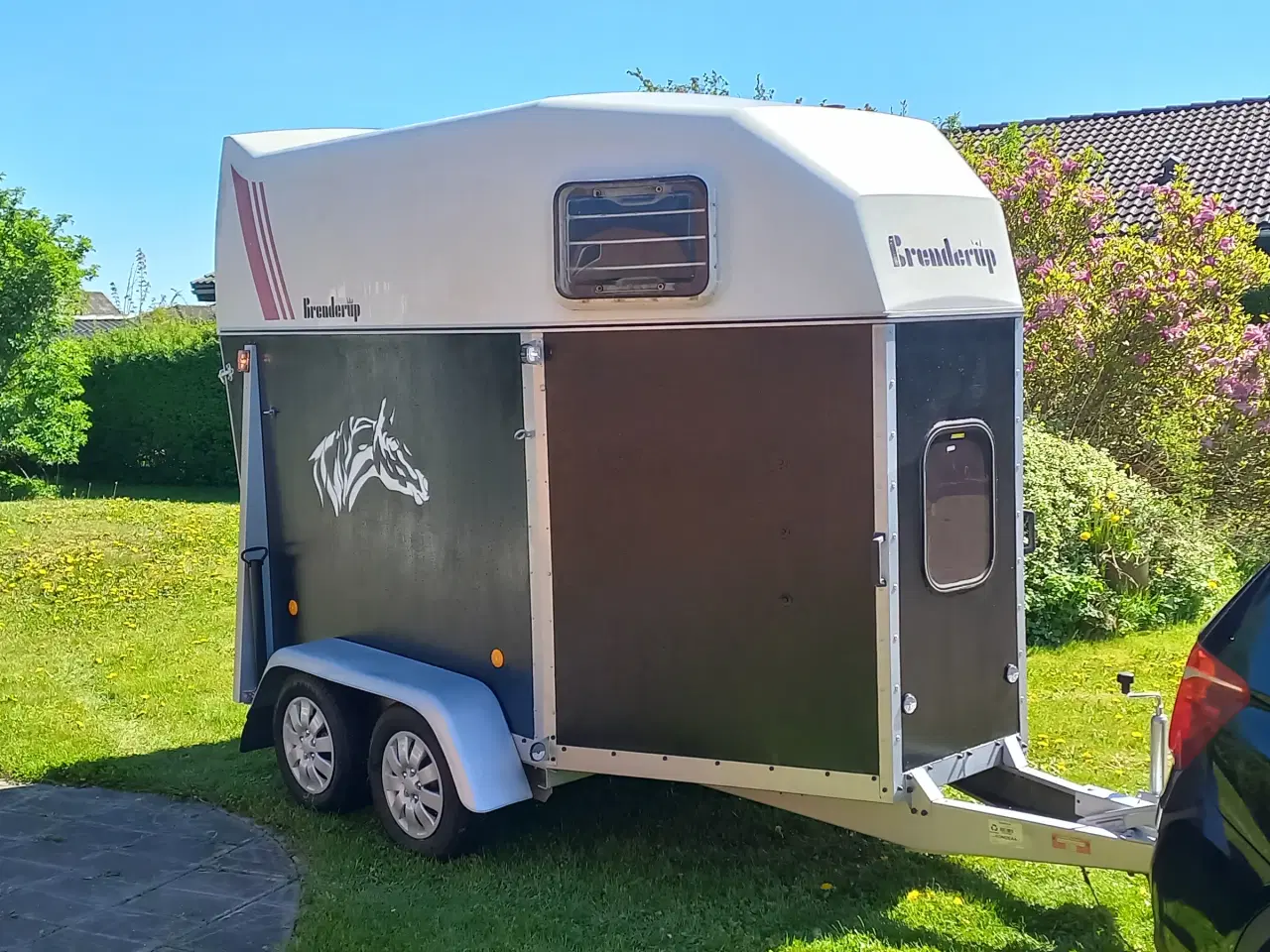 Billede 6 - Hestetrailer 1500 kg. Brenderup