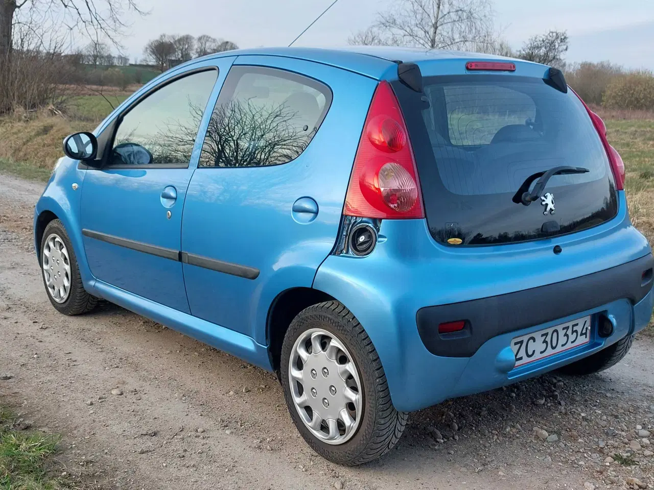 Billede 5 - Nysynet med plader