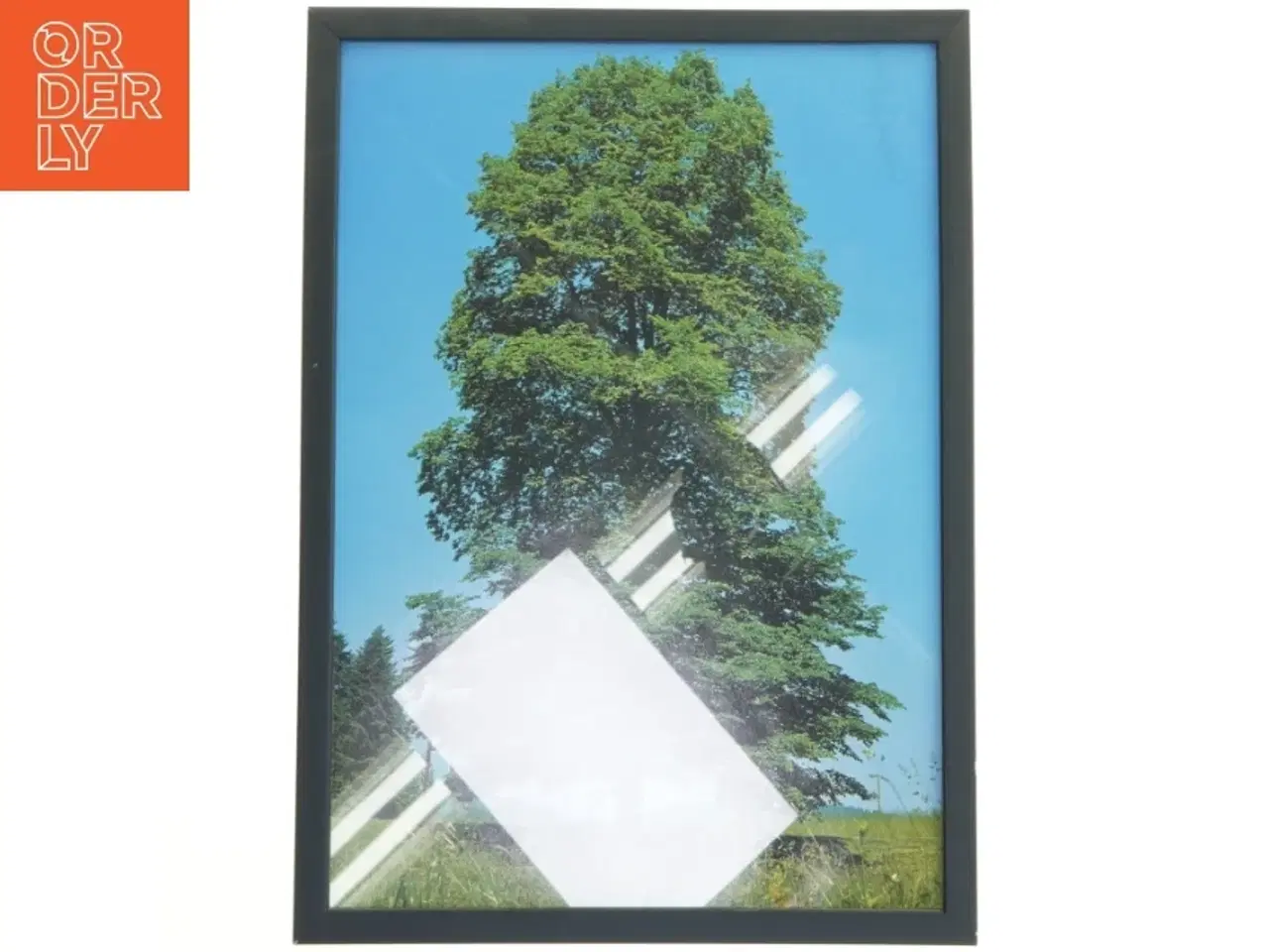 Billede 1 - Billederamme med træmotiv fra Posterland (str. 32x44 cm)